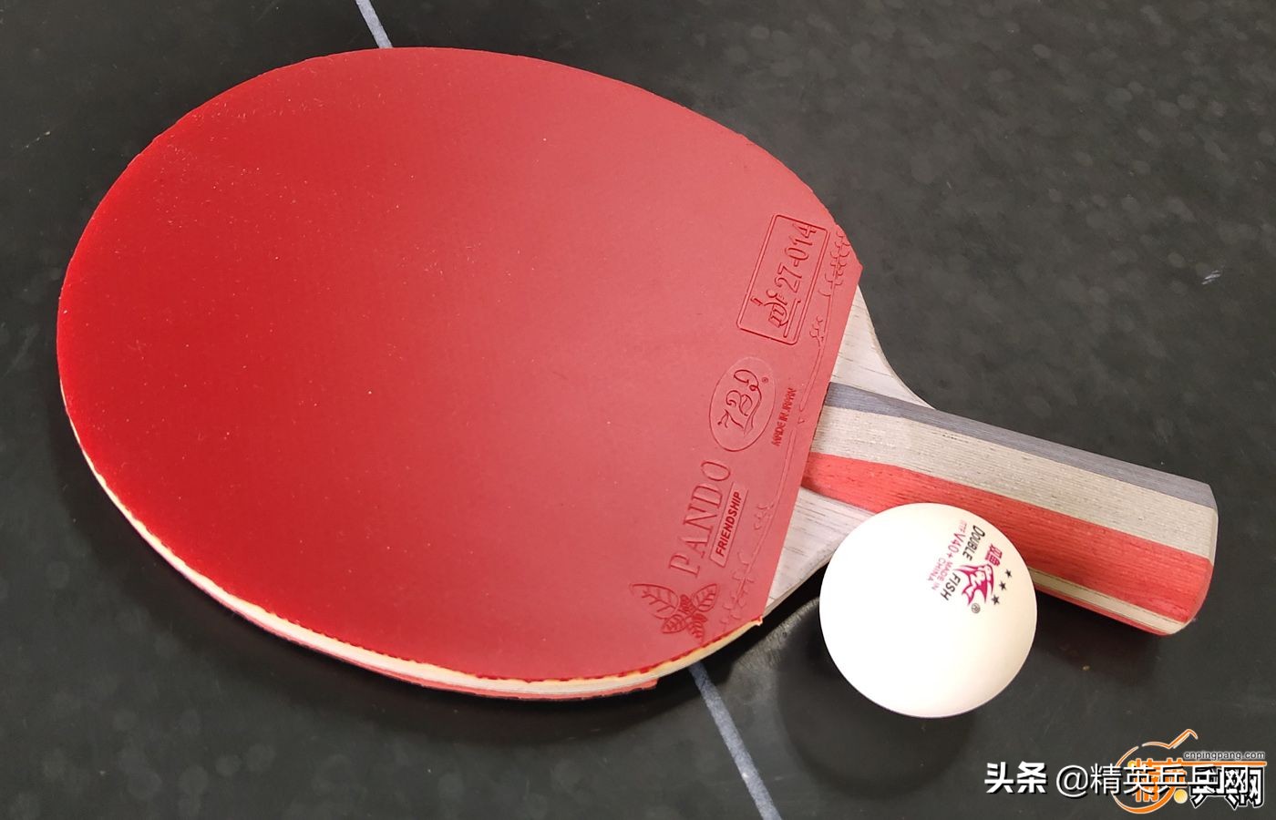 新纤维！新能量！萨姆索诺夫佛迪诺（Fortino）PRO终极甄选