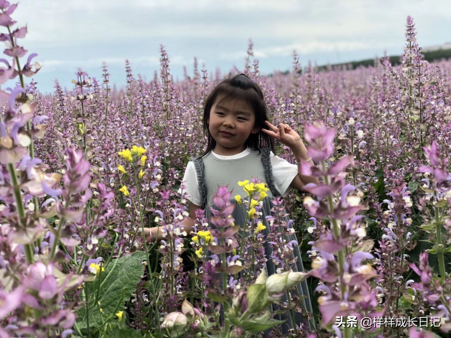 一家三口游北疆攻略,一家三口去北疆旅游大概花多少