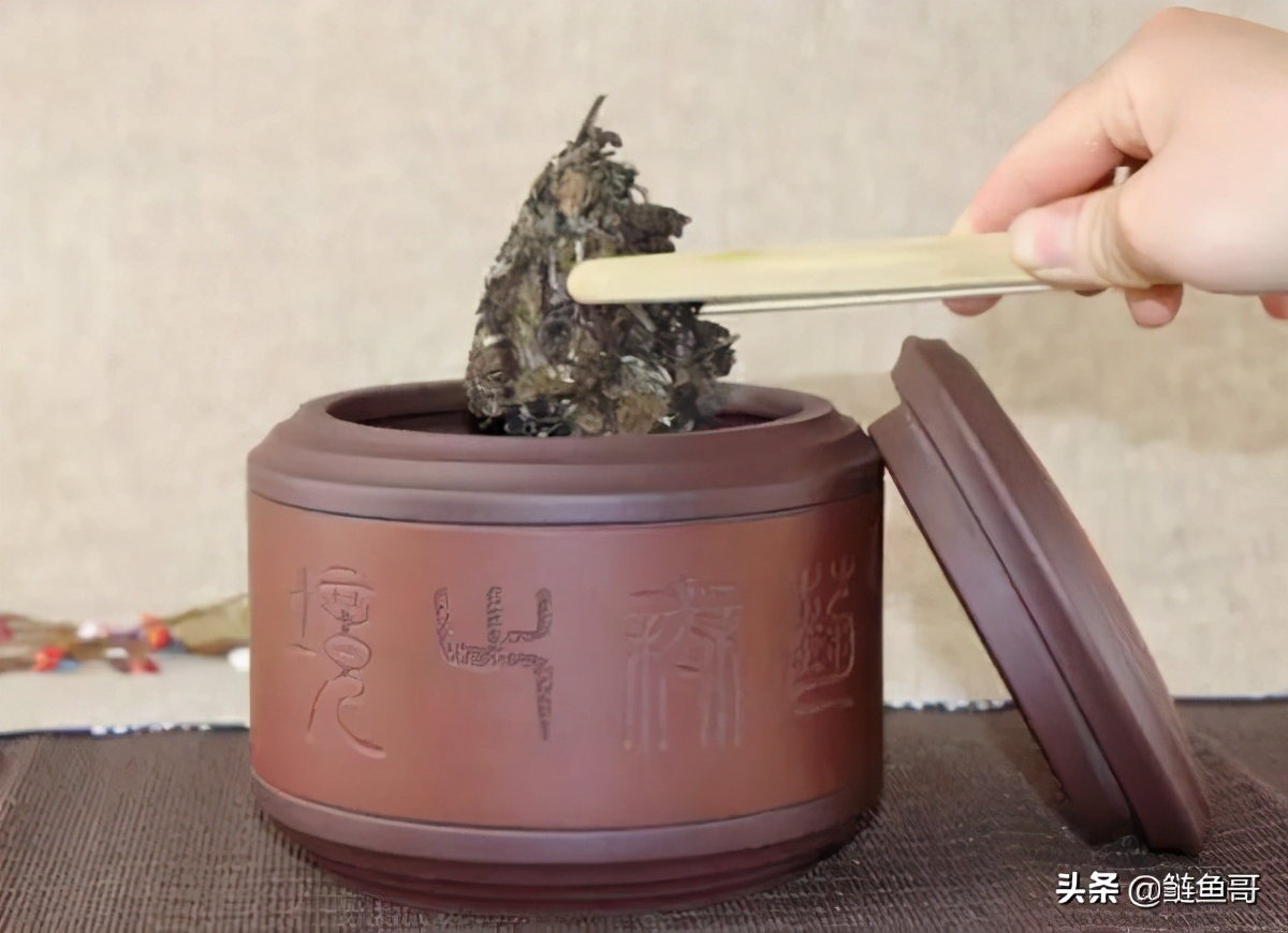 黑茶常识,黑茶白茶基础知识