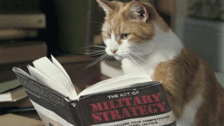 救命啊!为什么猫jiojio这么臭?