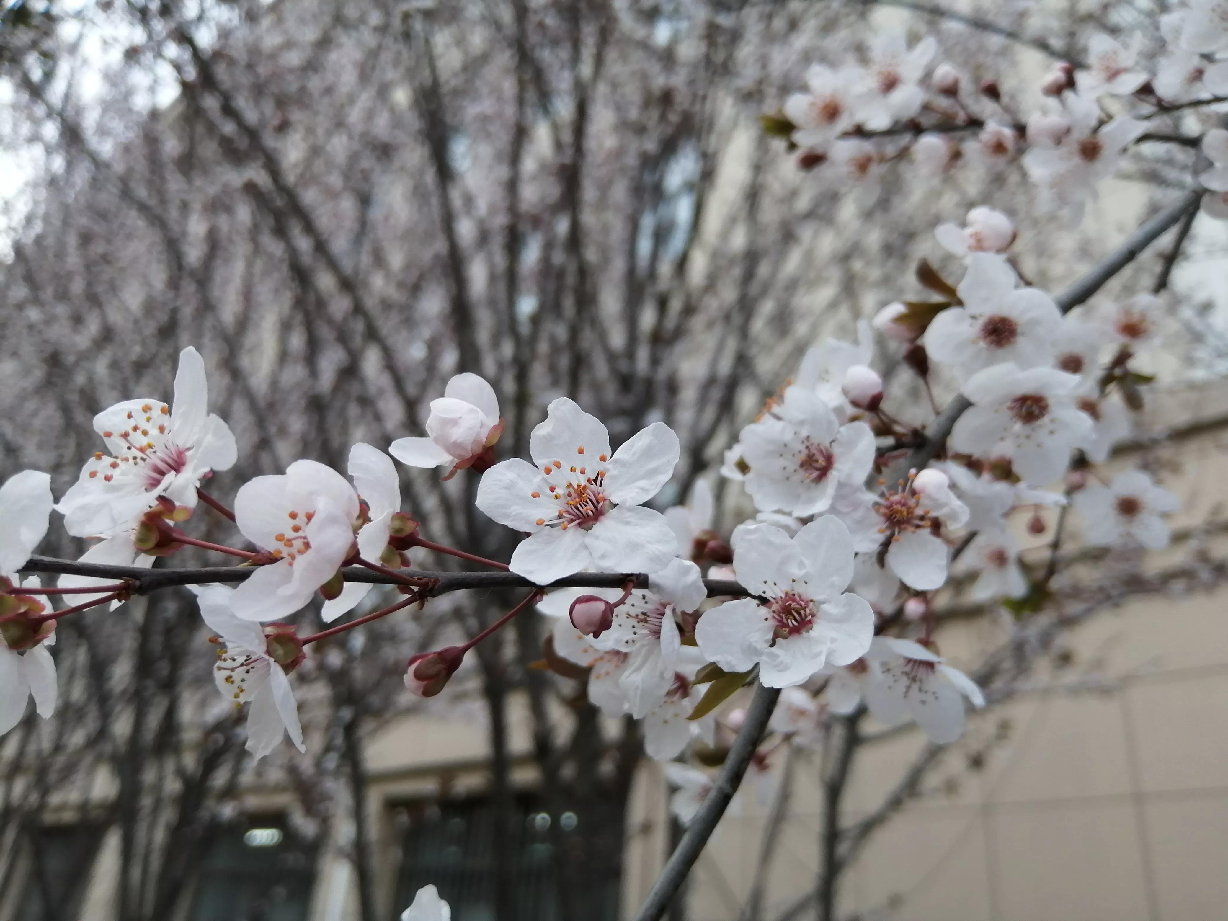 答题卡没涂考号要紧吗,月考没填答题卡