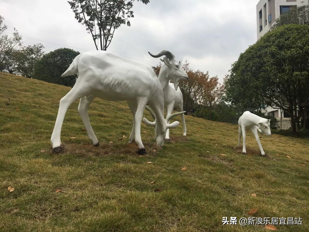 宜昌市上上城壹号院二手房涨了没,上上城壹号院户型