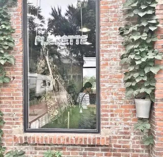 这家破厂房改造的花店,这是北京最美的小花店,明星都来拍照