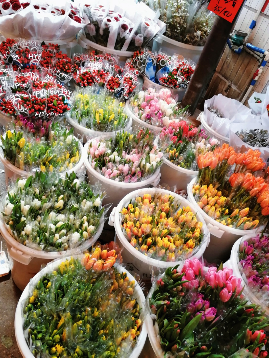 广州岭南花卉市场订花,广州岭南花卉市场攻略
