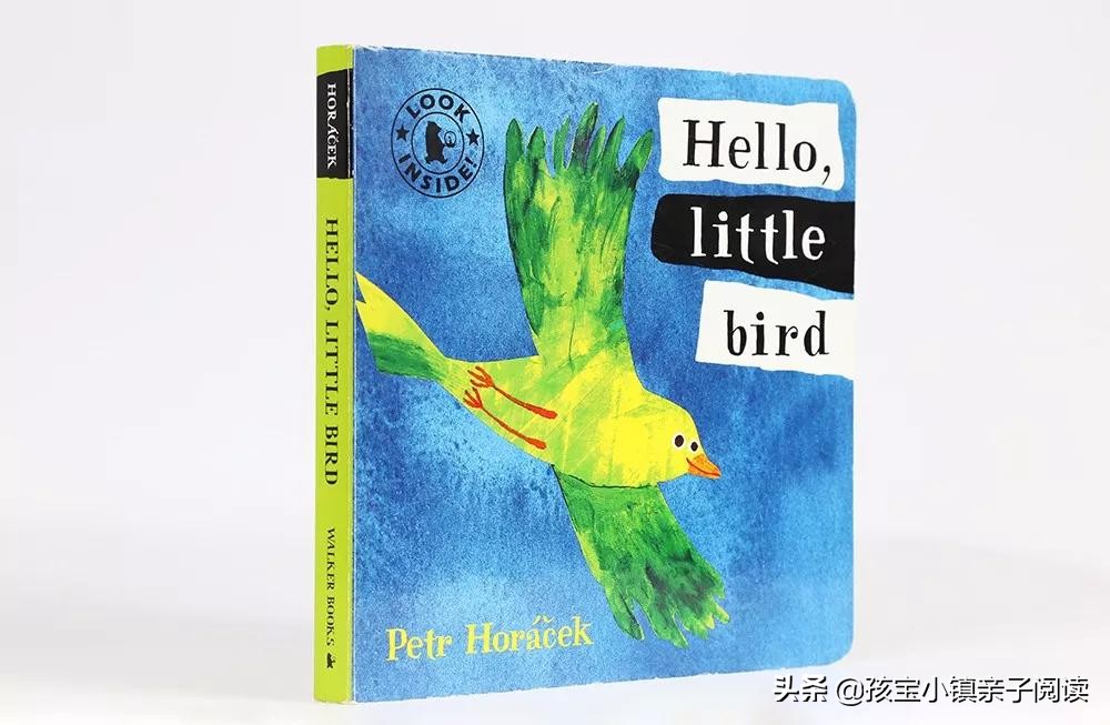 0-2岁宝宝最全英文绘本推荐（下）「吐血整理，建议收藏」