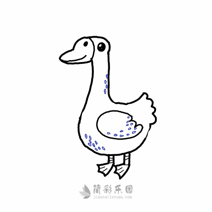 绘画鹅简笔画,鹅简笔画步骤