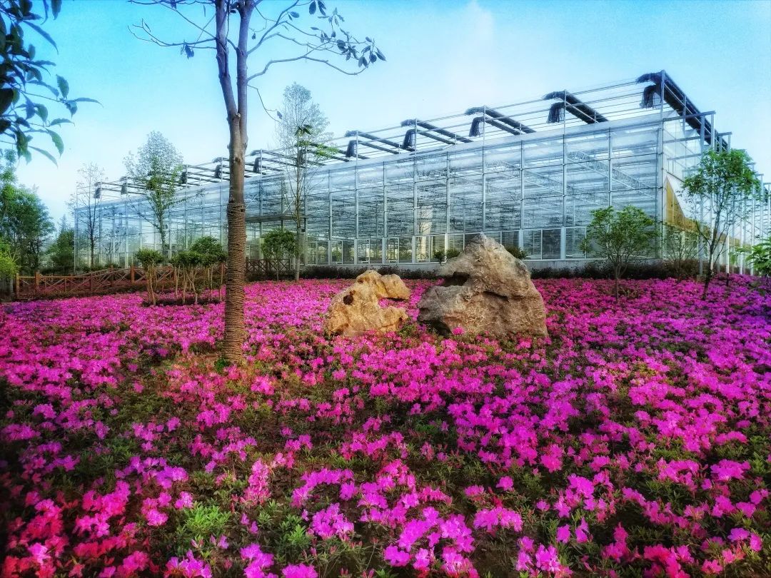 蓝城史诗级田园巨著，或将引领十万武汉人“上山下乡”