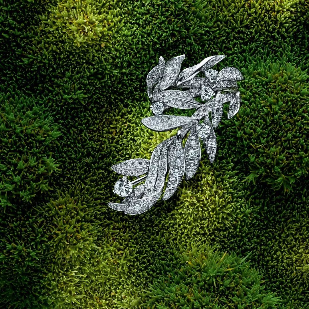 尚美巴黎刘亦菲代言,刘亦菲佩戴尚美巴黎珠宝