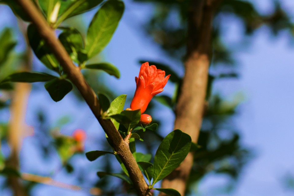 你的生活真的有意义吗,你的生活有滋味吗