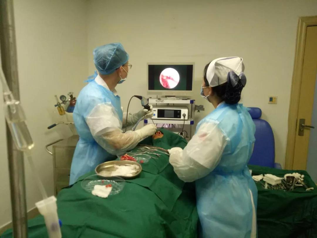 家长必看育儿知识,家长必看孩子学习知识