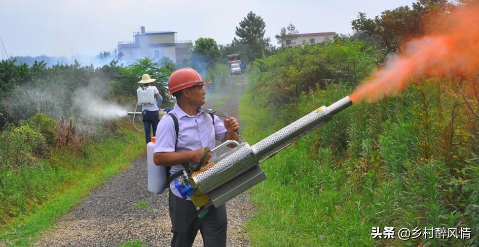 泰国红黑胶囊能治黄龙病吗,黑红胶囊可以治黄龙病吗