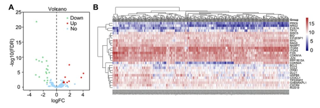 博士毕业神器3+分纯生信杂志：平均一审只要一个月，年刊量1000+