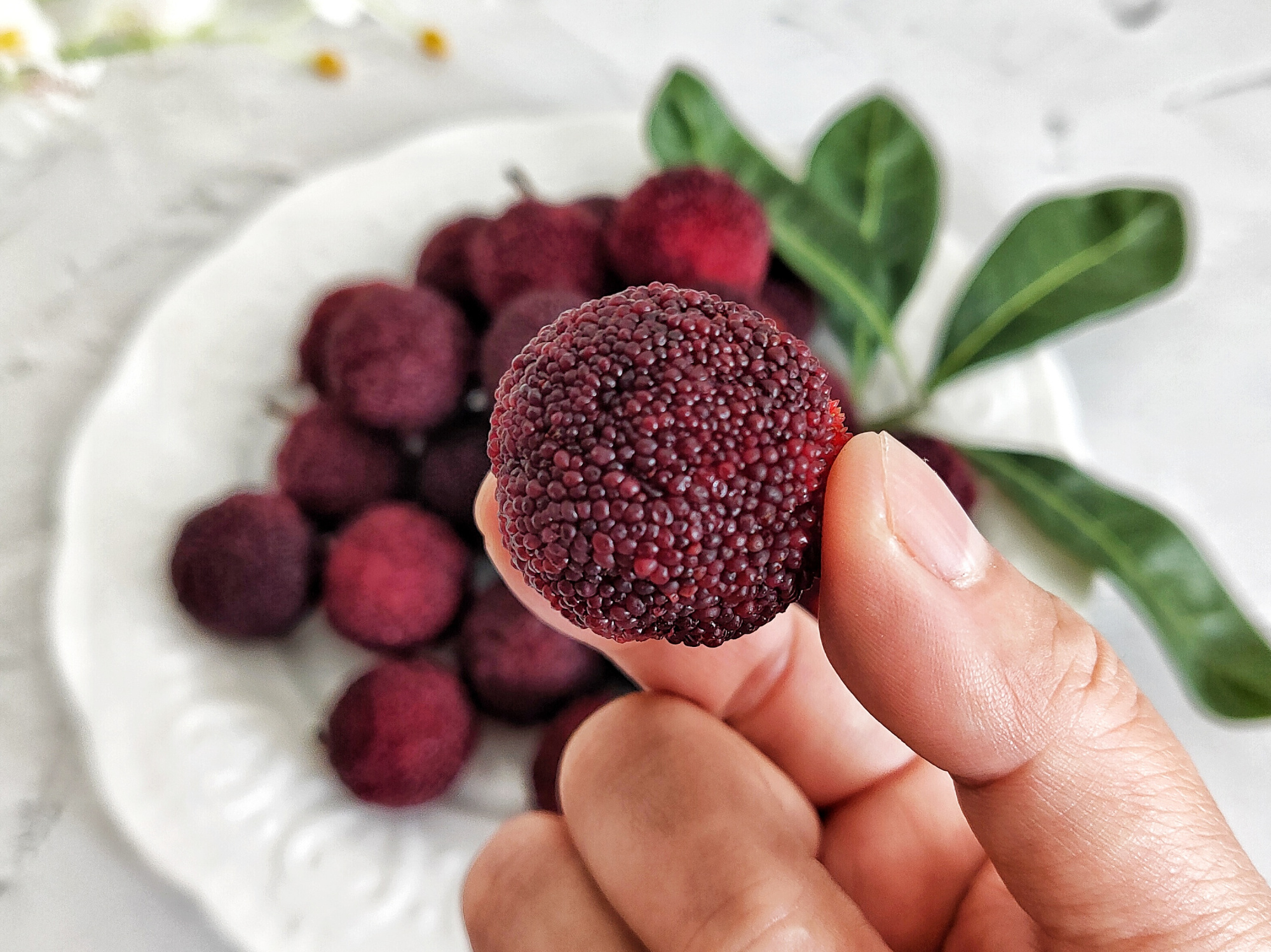 爱吃杨梅又害怕虫子的人,杨梅里面的虫子是可以直接吃的吗