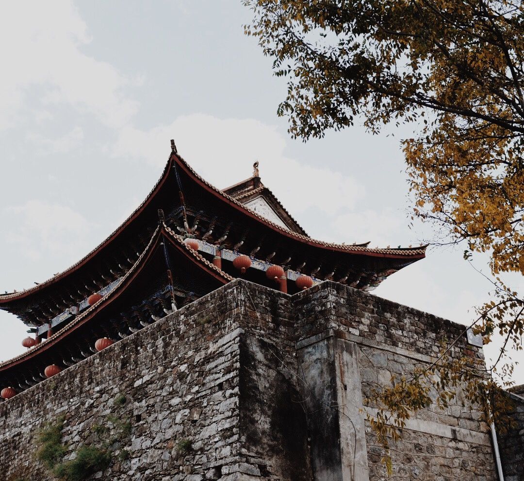 十二星座智商最高的五大星座,智商高却不会玩心机的星座