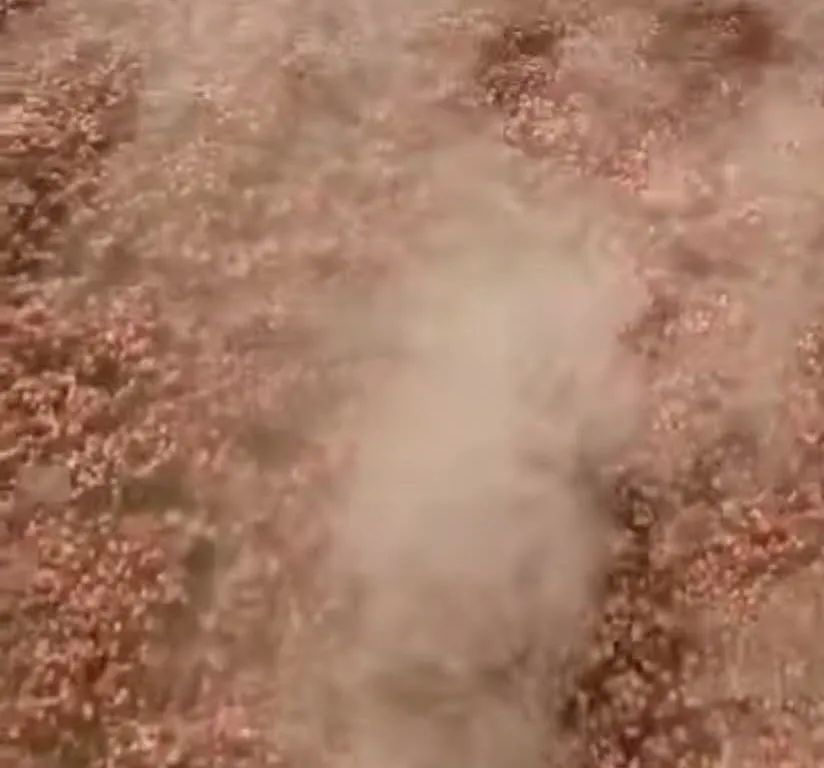 冬天做米酒几天才能发酵好,冬天发酵最佳温度是多少度