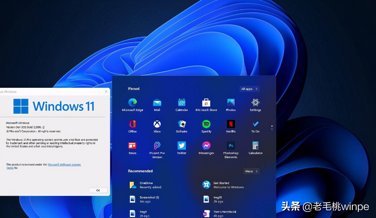 windows11系统,windows11深度优化