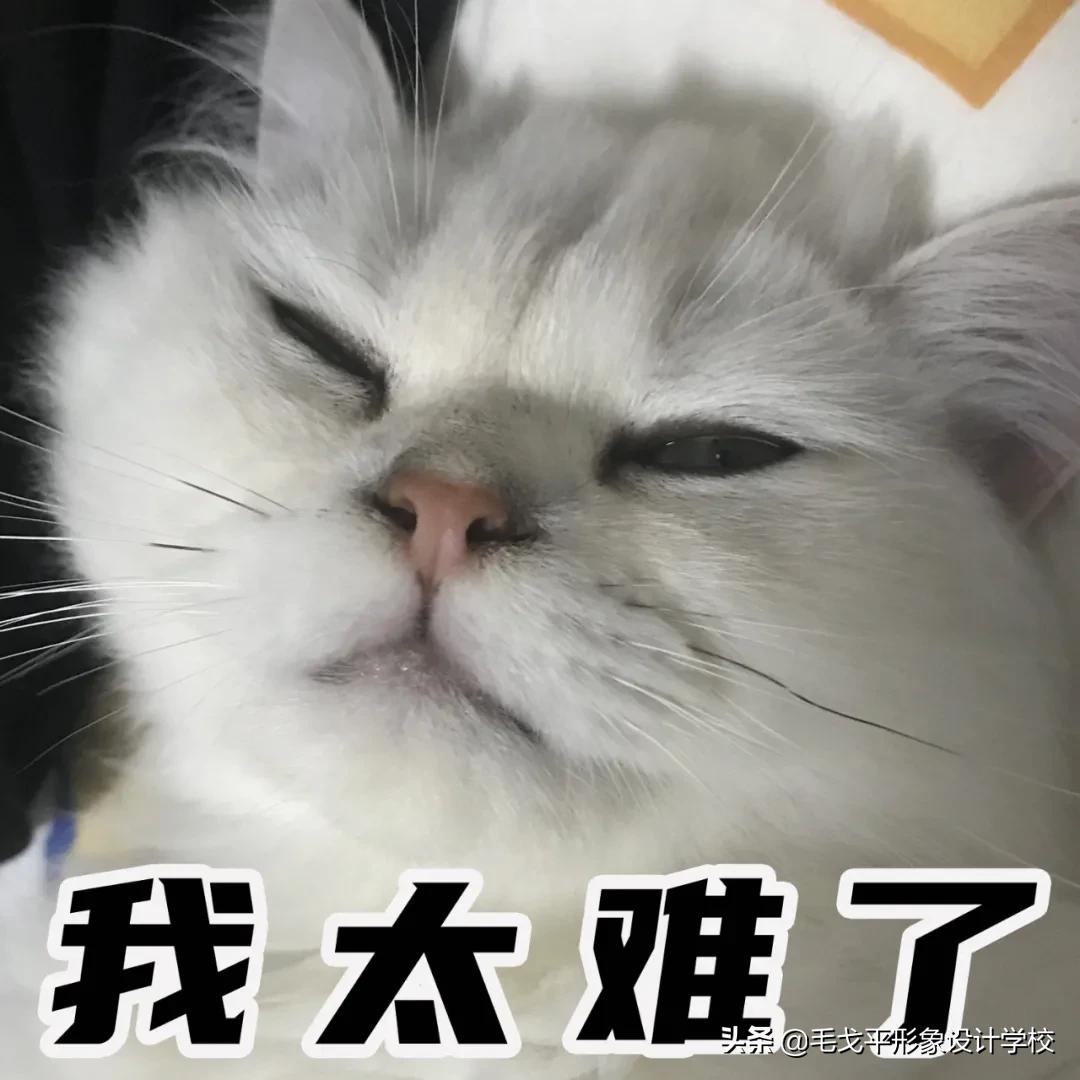 底妆教程持久不卡粉不脱妆混干皮,夏日底妆不脱妆雅诗兰黛