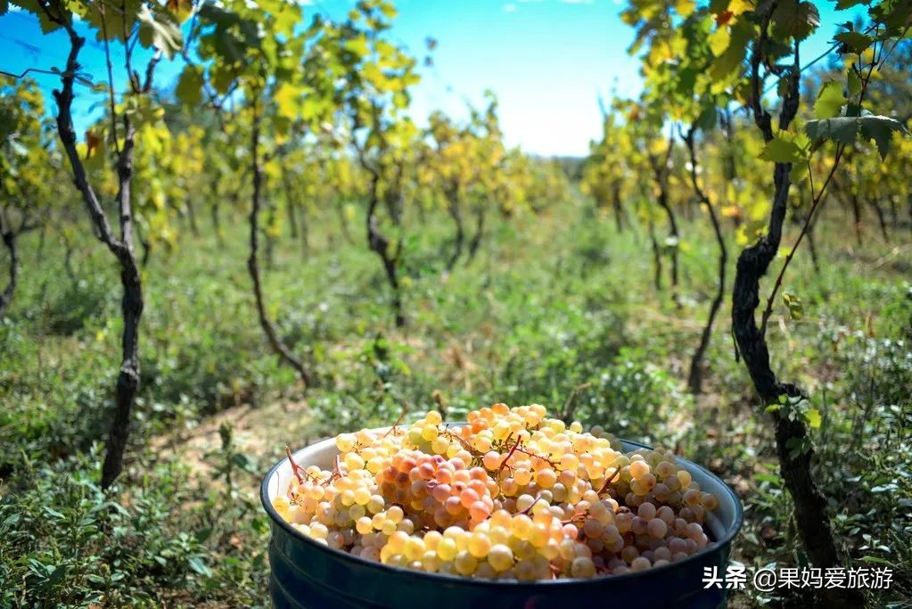 这8个国家格调高消费低,攒点小钱,带上白本说走就走