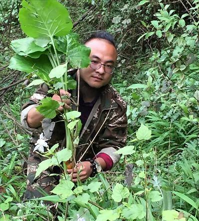 湖南小伙返乡创业种蔬菜,农村小伙创业卖花