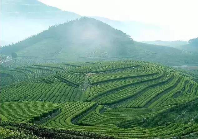 温泉小镇44平房子效果图,温泉小镇6层洋房