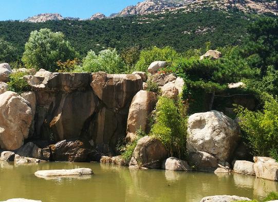 山东绿化最好的城市,山东省的绿化