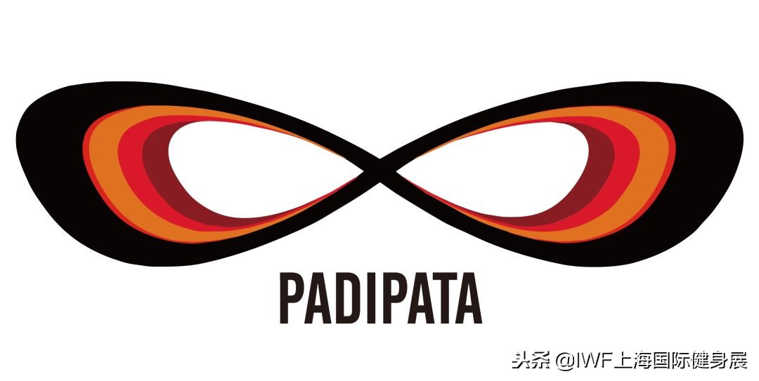 专栏丨再多DG都不如一台跑步机