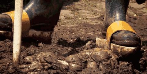 有的人可能拉完一生6吨屎，还不知道厕所是怎么来的