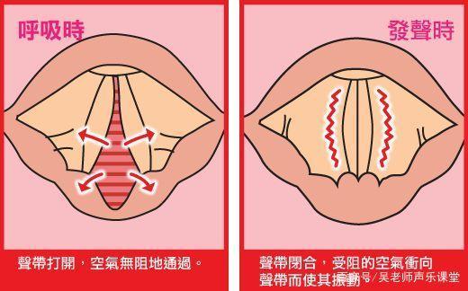 零基础学高音怎样锻炼声带闭合力,高音如何加强声带闭合