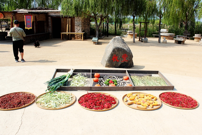 东北风情真实情况,最真实的东北风情