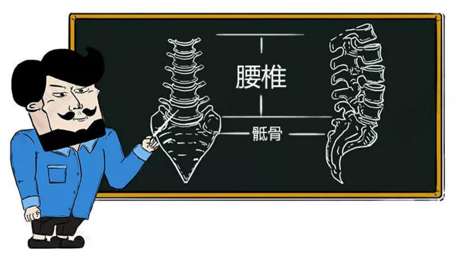此文章让你彻底明白什么是:腰间盘突出
