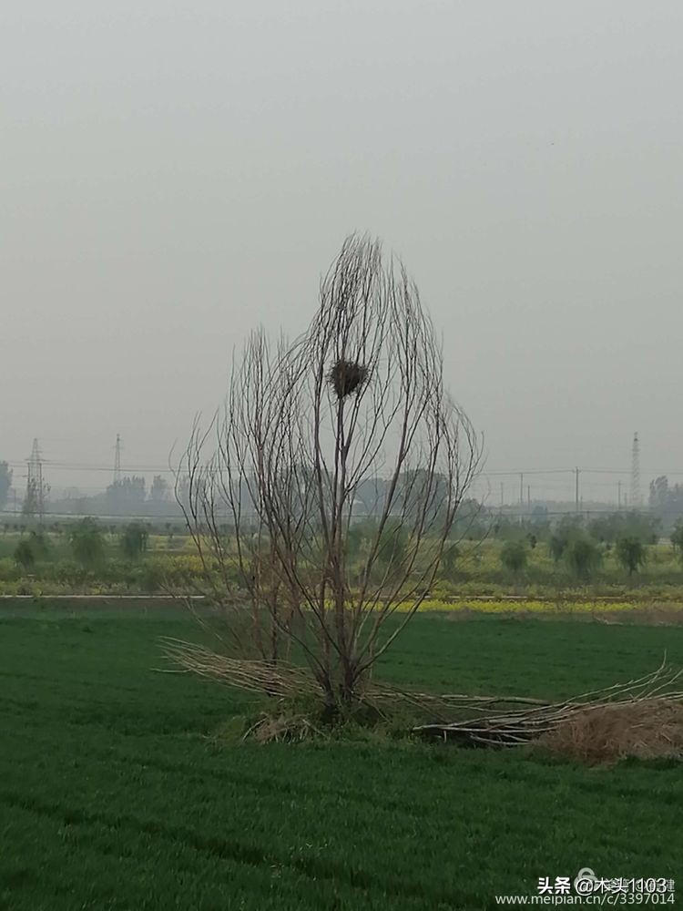 枣庄薛城邹坞镇中陈郝村,枣庄中陈郝村在哪里