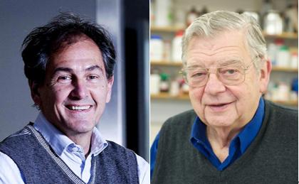 人类进化背后的万年相亲博弈:我们的祖先也爱酷哥