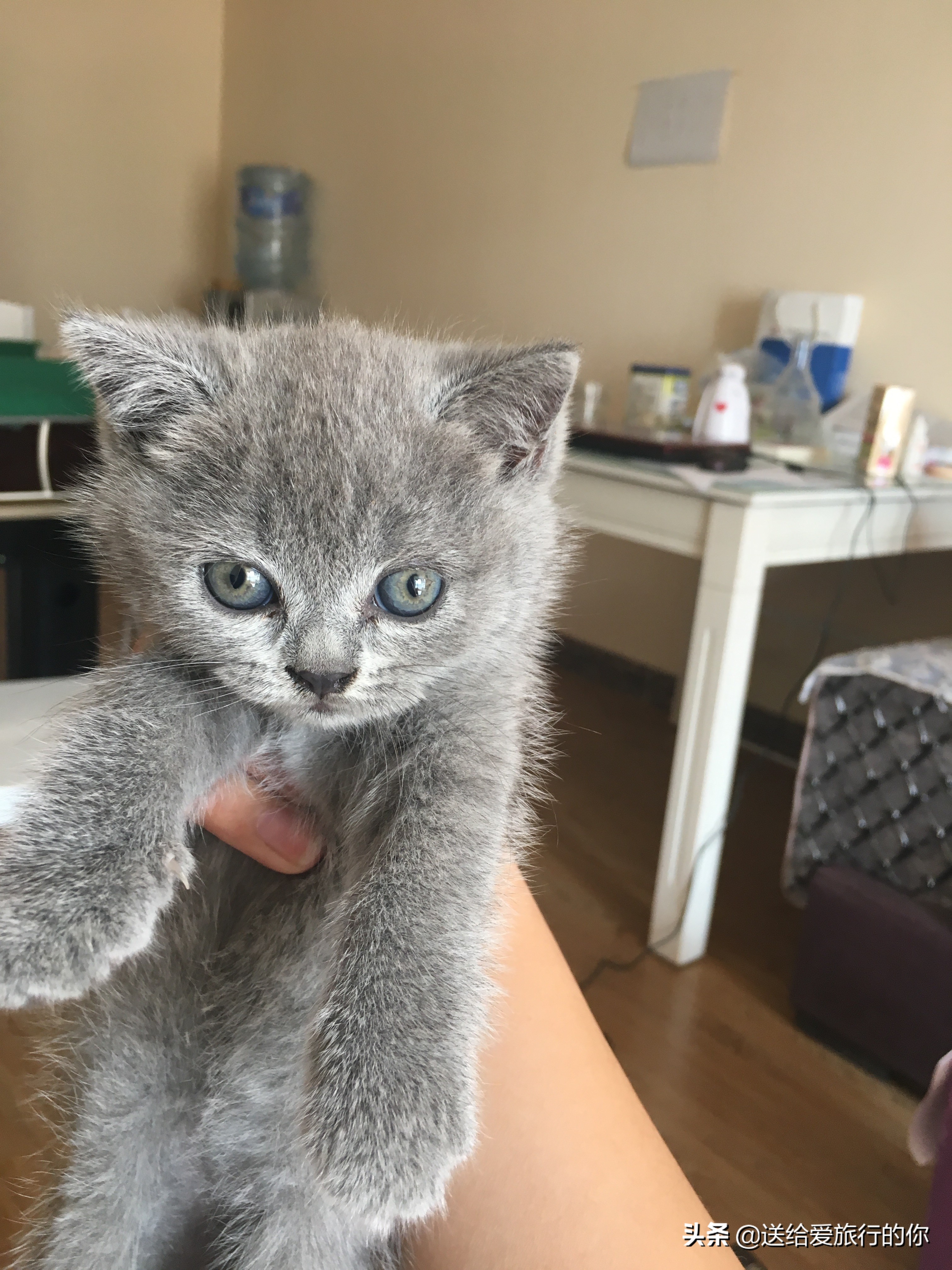 一支“香烟”带我们遨游中国