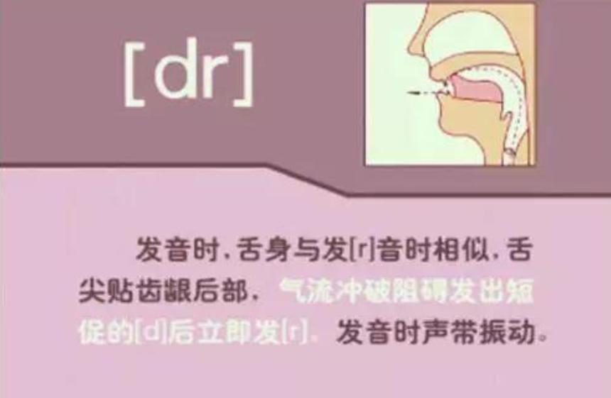 教你如何学英语音标,英语音标新手入门教程