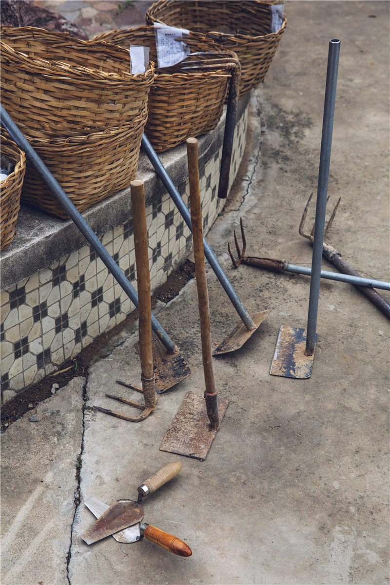 夏朝和二里头是什么,二里头和夏朝的关系