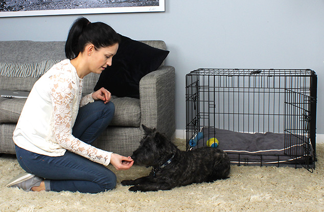 半夜狗一直叫有什么预兆,半夜狗突然狂吠不止是什么原因