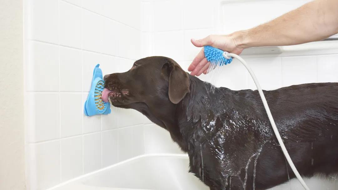 未来5年宠物智能产品,宠物产品logo设计