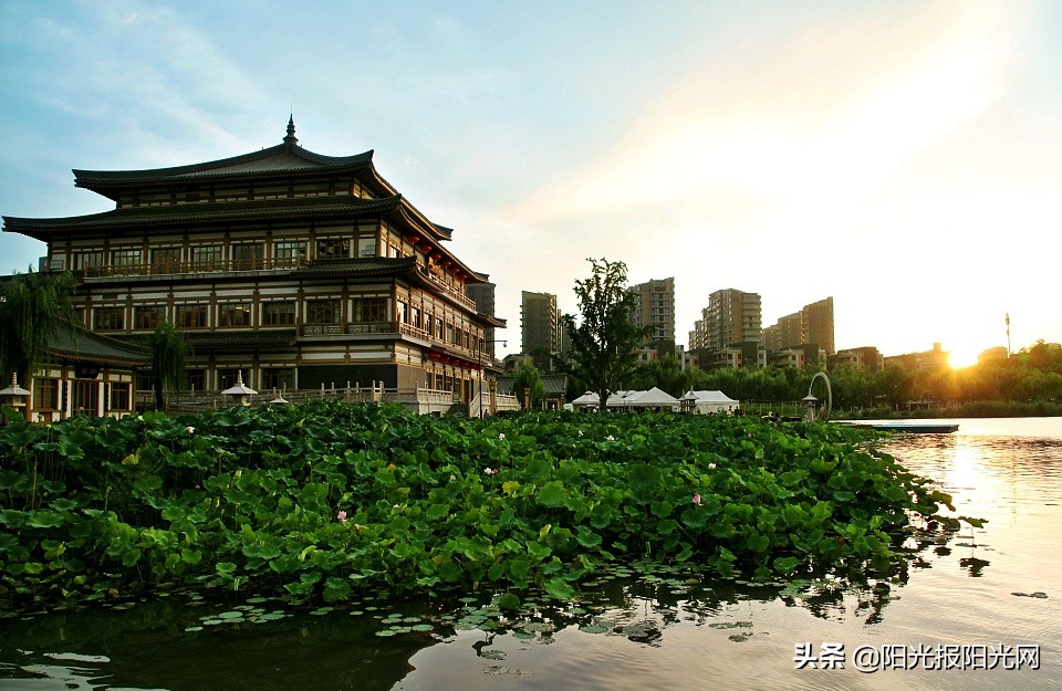 从一首小诗开始阅读今天的导游词…︱#新西安新名片征文选登,32