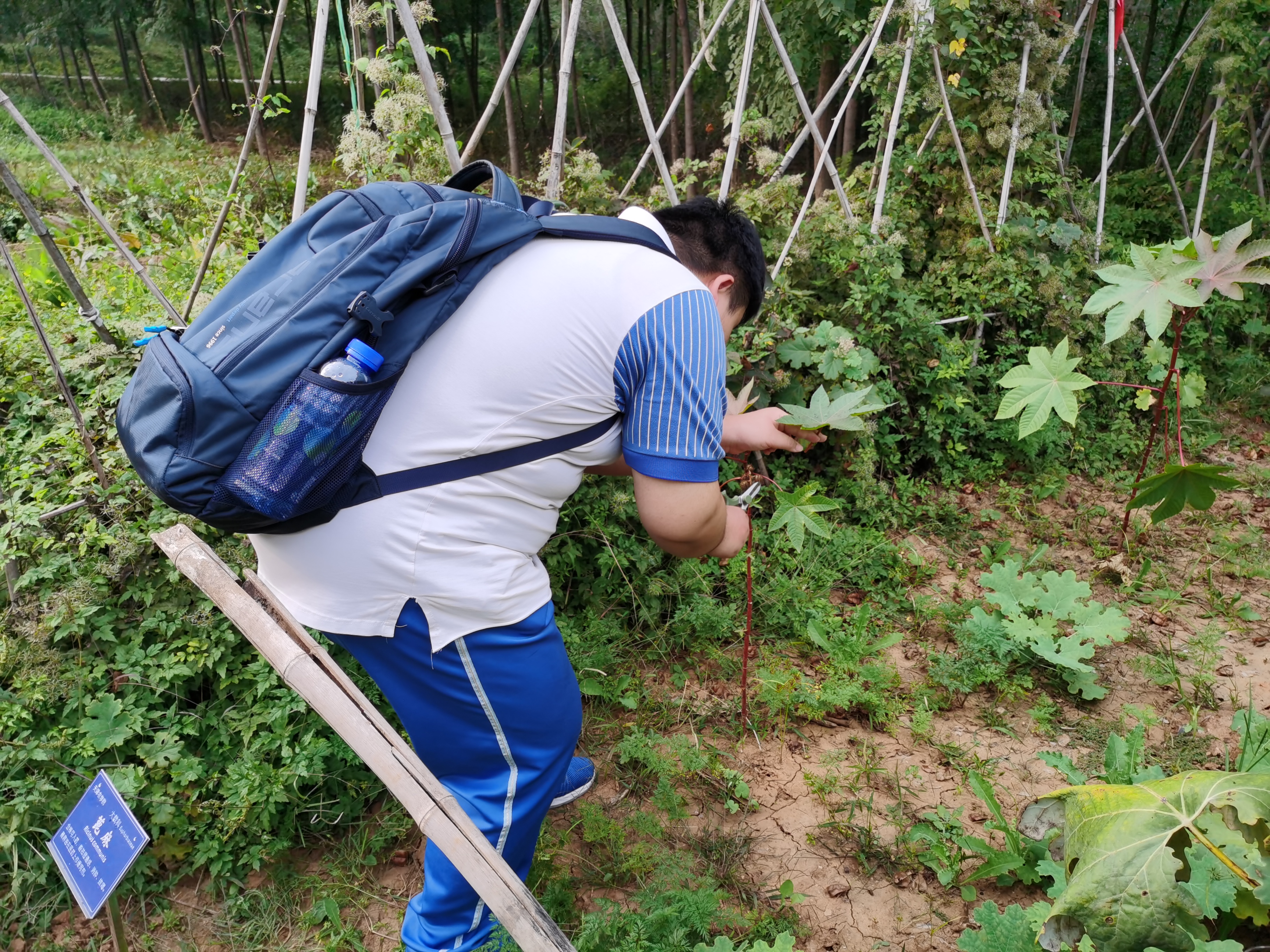 真会玩！天津这所中学带着学生进山里上生物、地理、历史、政治课