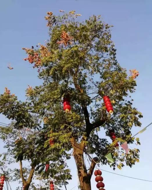 木河洞街,木洞河街