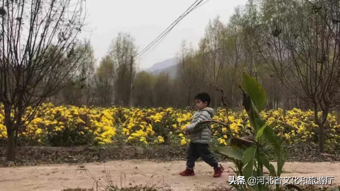 中山古城遗址旅游,中山古国遗址游玩