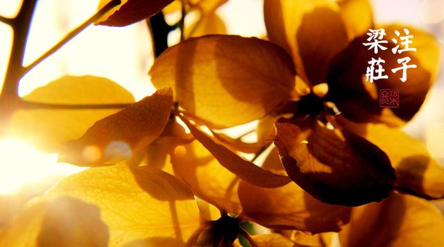 梁冬为什么要读历史,梁冬说读书