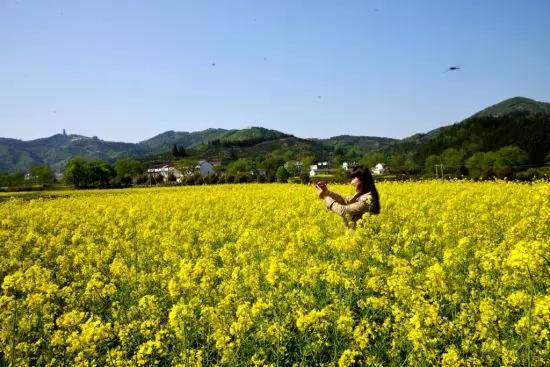 风光无限好，览尽于汤池