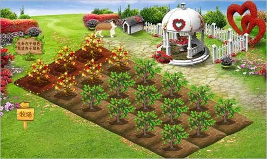 拼多多美团淘宝种水果,拼多多淘宝京东哪个种树快