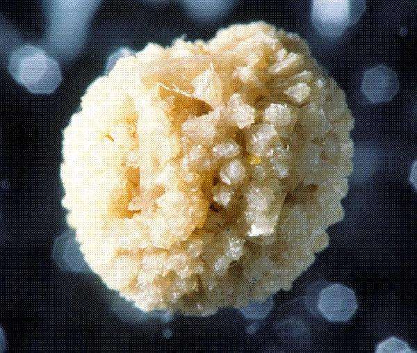 上海一院鲁军教授11月1日上午在镇江为您解答泌尿系结石的困惑