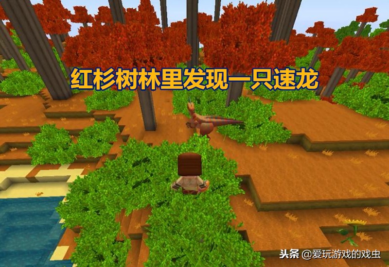 迷你世界里面的速龙是怎么驯服的,迷你世界速龙在哪找