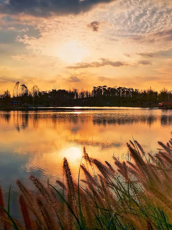 成都哪里的绿道最好,成都绿道最好的地方