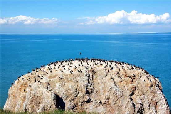 青海是著名的旅游圣地,青海这么美你会去看吗