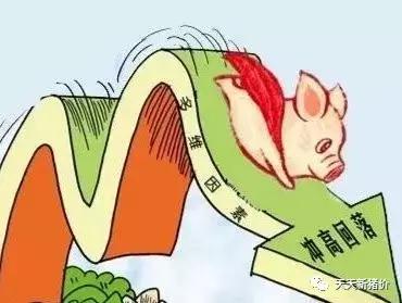 猪下半年价格会怎样,2019年猪价高还是2020年猪价高点
