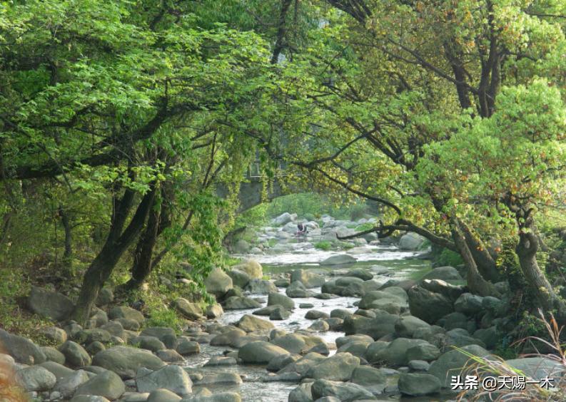 一笑倾人城再笑倾人国说的是谁,一笑倾人国再笑倾人城下句接什么